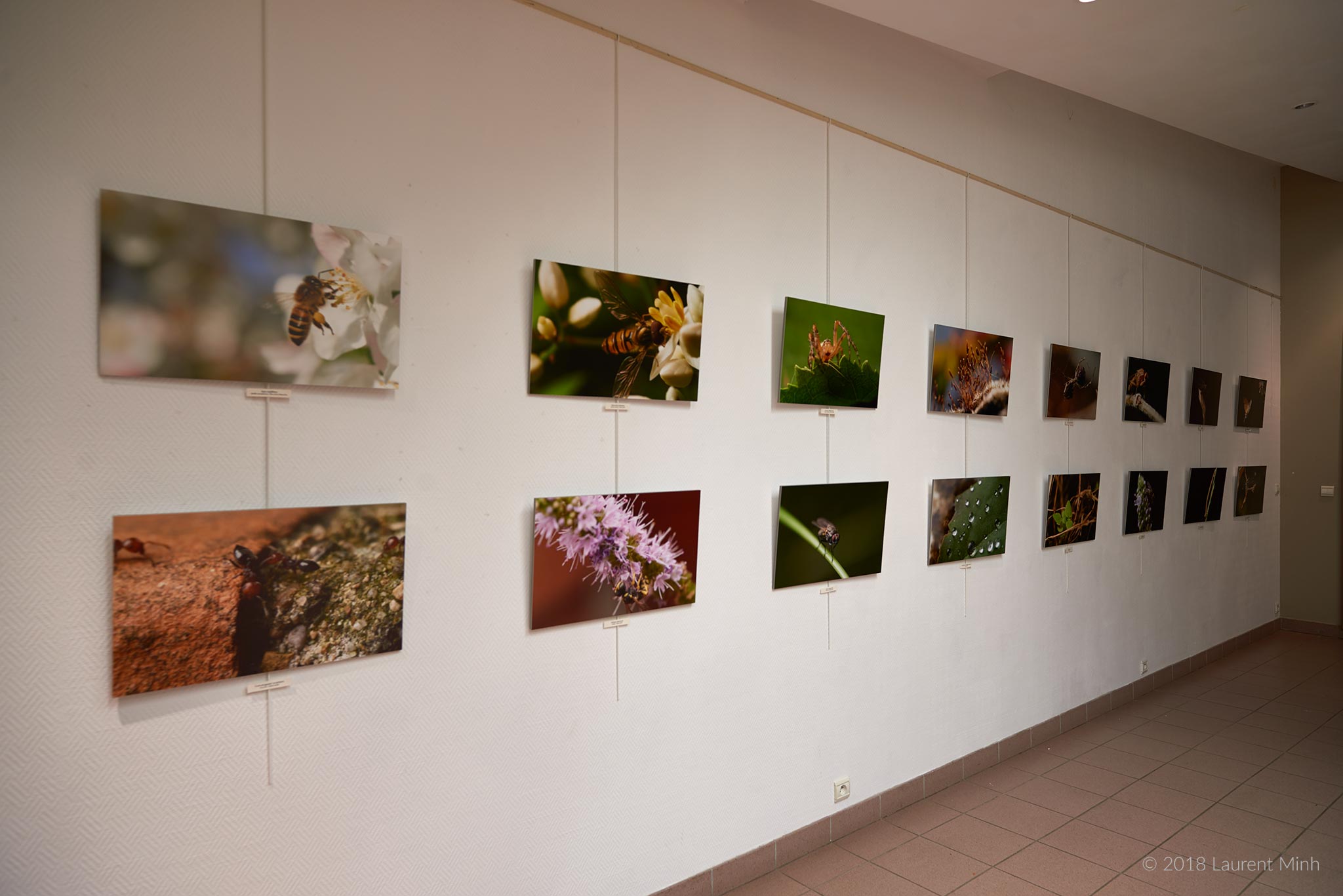 Salle Maison des trois vallées Aspet - copyright 2018 Laurent Minh