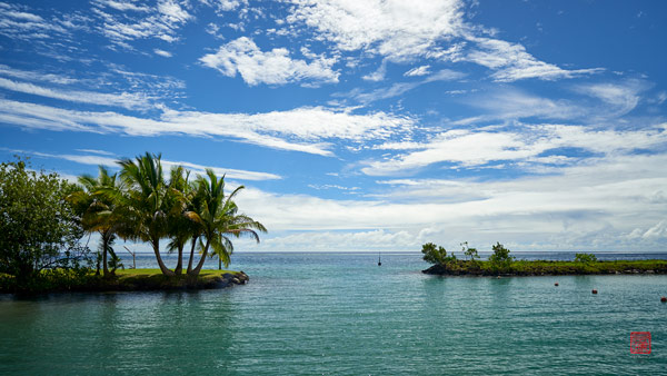 Pūeu © Laurent Minh 2019