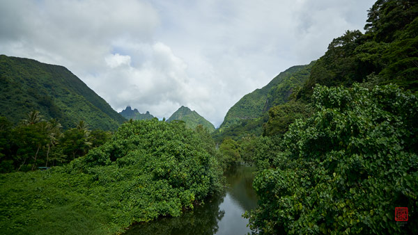 Rivière Vaitepiha © Laurent Minh 2019