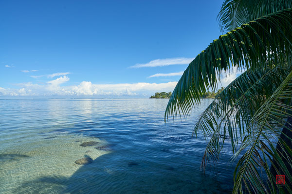 Sable blanc © Laurent Minh 2019