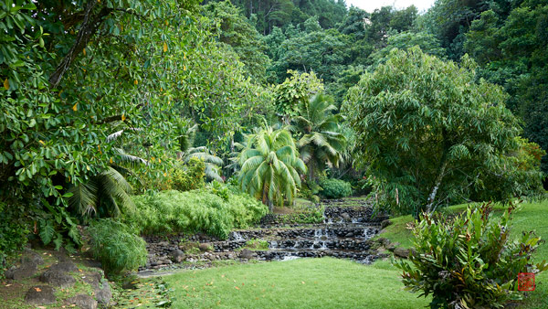Jardins d'eau de Vaipahi © Laurent Minh 2019