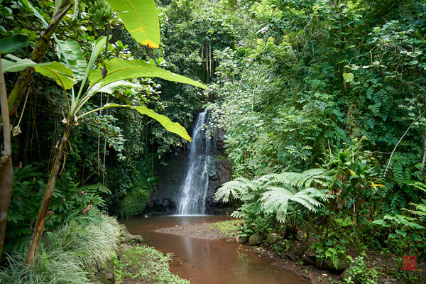 Jardins d'eau de Vaipahi © Laurent Minh 2019