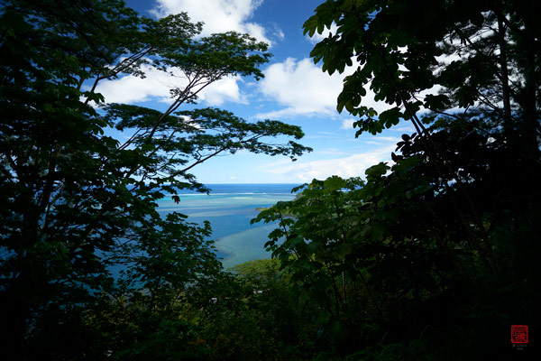 Sentier des Jardins d'eau de Vaipahi © Laurent Minh 2019