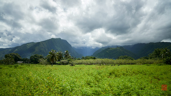 Sur la route du retour © Laurent Minh 2019